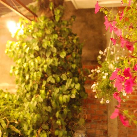 Winna Airport Hostel 岘港 外观 照片